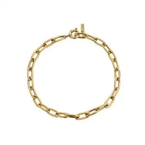 ChloBo Couture Gold Chunky Link Necklace