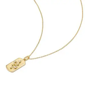 Ania Haie Gold Serpent Necklace