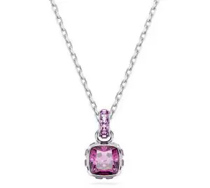 Swarovski February Birthstone Necklace