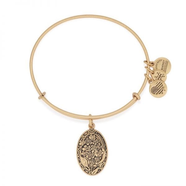 grandma bracelet alex and ani