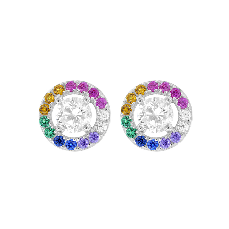 Paola Elegant Party Wear Multi Colour Stud Earring For Women Girl