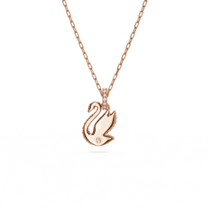 5647555_png_var3-1