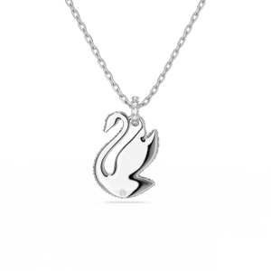 5647872_png_var3