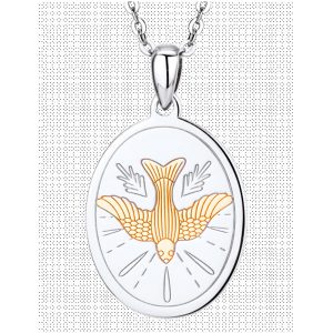 SM100-1.jpg