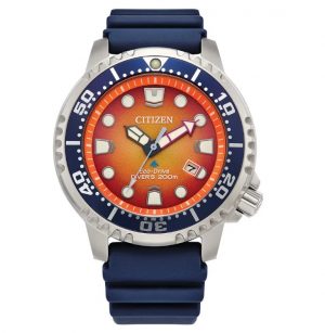 Citizen Promaster Diver Watch