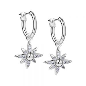 Newbridge Amy Star Drop Earrings