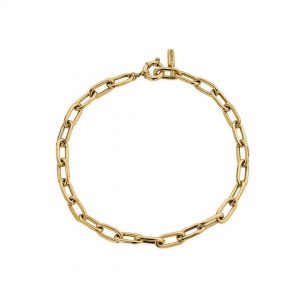 ChloBo Couture Gold Chunky Link Necklace