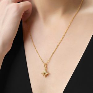 NEW1958488Amy-Huberman-Star-Pendant-Gold.-5164-NEW-777