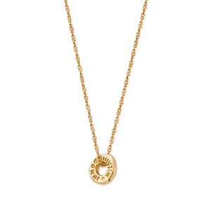 ChloBo Gold Tiwsted Rope Chain Power Within Necklace